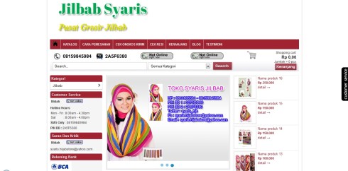 Jasa Pembuatan Website di Aceh Barat Daya