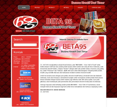 website-beta95