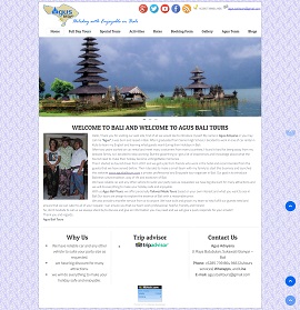 Contoh Desain Website di Bali