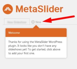 Meta Slider Add New