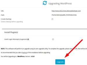 Wordpress Upgrade Softaculous