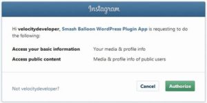 Instagram Feed Connect Authorize