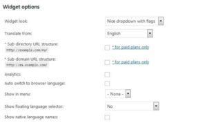 Translate WordPress with GTranslate Setting 1