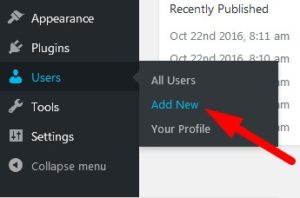 Users - Add New